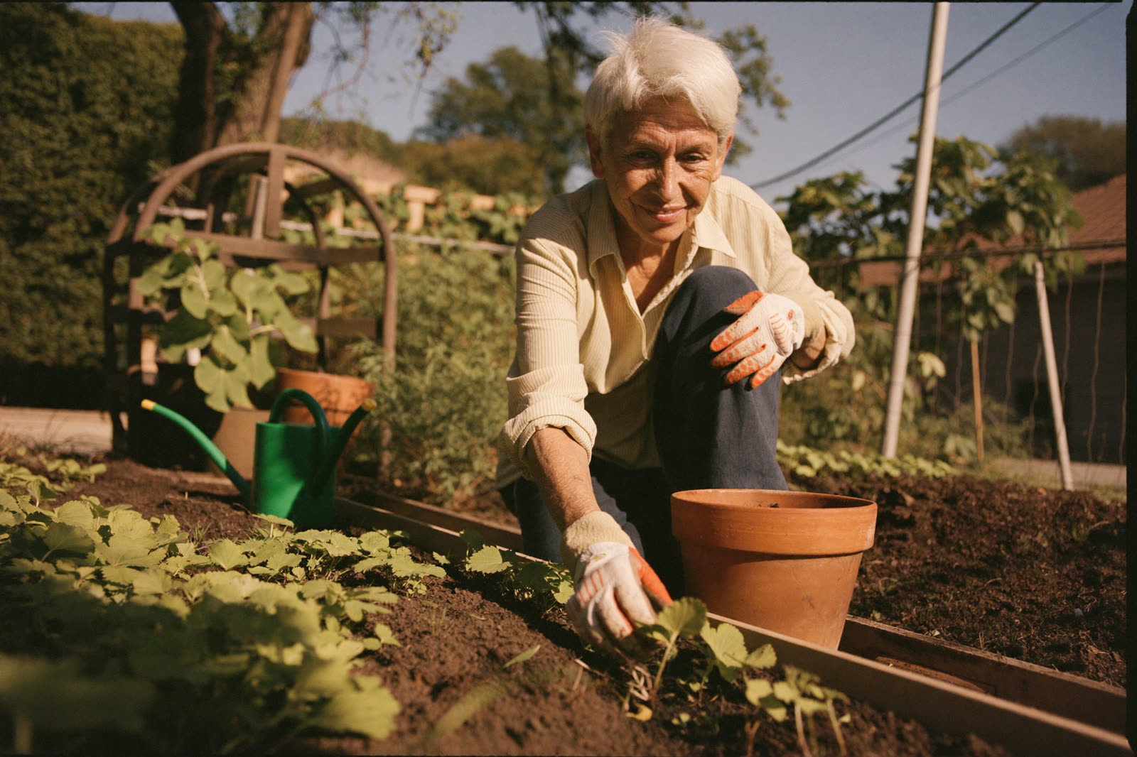 A woman in her sixties kneeling comfortably at a raised garden bed, planting seedlings in the sun